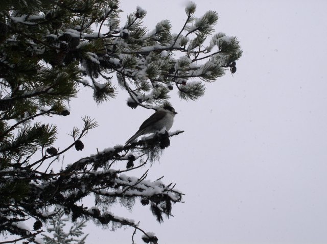 Ghost Ridge-Twin Lakes 017 